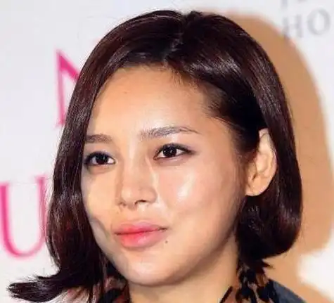 崔智友蔡琳尹恩惠刘仁娜刘荷娜韩恩贞金宣儿郑丽媛李多海朴诗妍_韩剧整容女明星_韩国整容女明星颜值变化