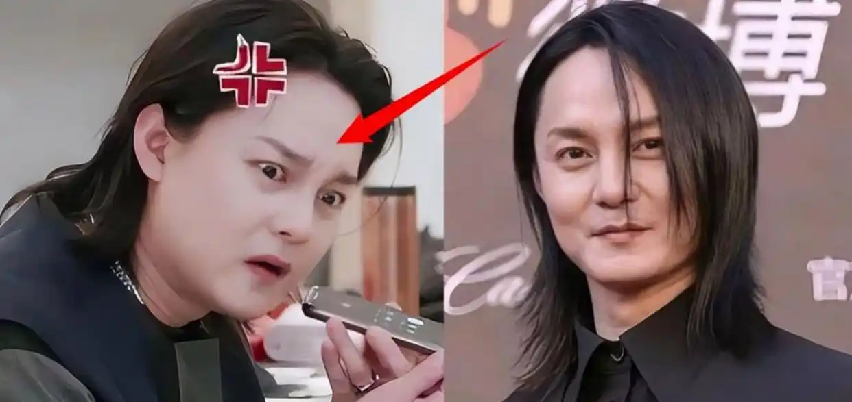 为什么现在内娱不行呢，小圈子闭合圈钱成主流，以前靠投资方审美撑场面