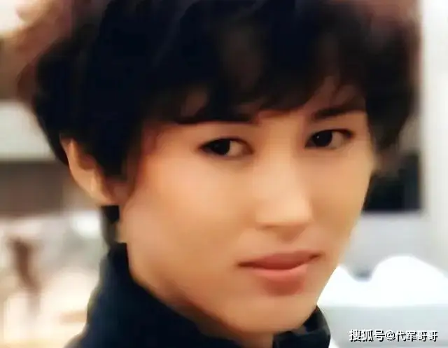 陈秀雯 替夫还债 娱乐圈女明星_流落街头女明星